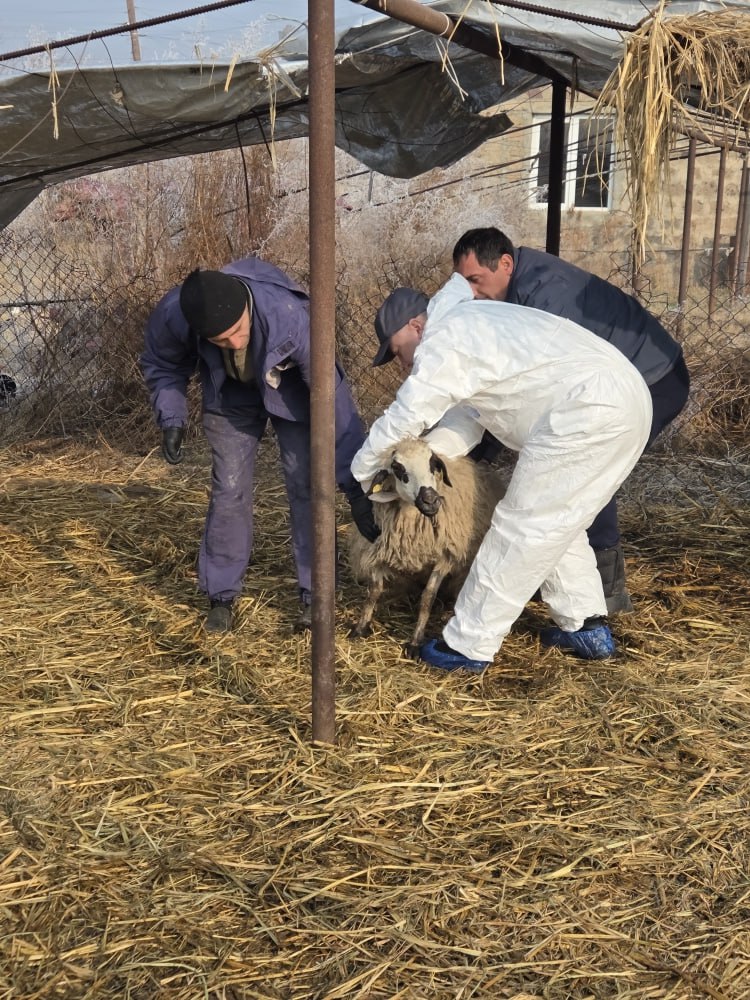 photo_2025-12-25_12-28-34 (2)_1766730275.jpg